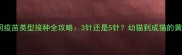猫咪必看不同疫苗类型接种全攻略3针还是5针幼猫到成猫的黄金保护期指南