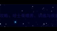 家庭饲养全攻略哈士奇喂养训练与疾病预防技巧