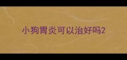 小狗胃炎可以治好吗
