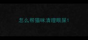 怎么帮猫咪清理眼屎
