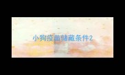 小狗疫苗储藏条件