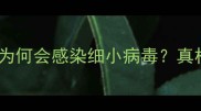 疫苗后为何会感染细小病毒真相惊人