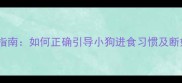 科学喂养指南如何正确引导小狗进食习惯及断奶期管理