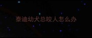 泰迪幼犬总咬人怎么办