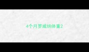 4个月罗威纳体重