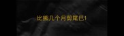 比熊几个月剪尾巴