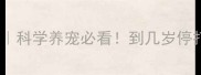 贵宾犬疫苗全攻略科学养宠必看到几岁停打注意事项大公开