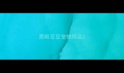 黑眼豆豆宠物用品