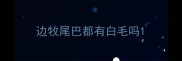 边牧尾巴都有白毛吗