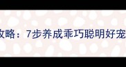 拉布拉多训练全攻略7步养成乖巧聪明好宠新手养狗必看