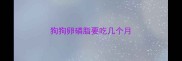 狗狗卵磷脂要吃几个月