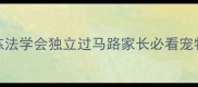 金毛犬3步训练法学会独立过马路家长必看宠物安全指南1