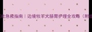 边牧腹泻呕吐急救指南边境牧羊犬肠胃护理全攻略附症状自检表