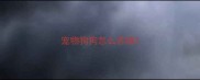 宠物狗狗怎么养殖