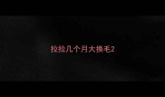 拉拉几个月大换毛