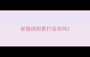 被猫挠到要打疫苗吗