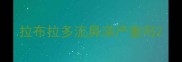 拉布拉多流鼻涕严重吗