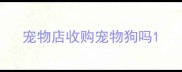 宠物店收购宠物狗吗