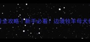 边牧母犬绝育最佳年龄全攻略新手必看边境牧羊母犬什么时候做绝育最科学