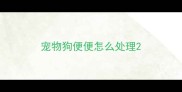 宠物狗便便怎么处理
