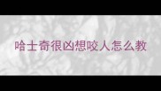 哈士奇很凶想咬人怎么教