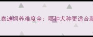 泰迪串串vs禾泰迪饲养难度全哪种犬种更适合新手养狗家庭