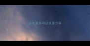 金毛最多可以活多少年
