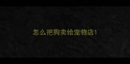 怎么把狗卖给宠物店