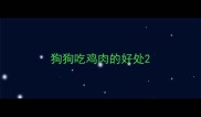 狗狗吃鸡肉的好处