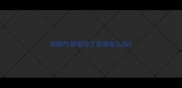 狗狗气管里呛了异物怎么办