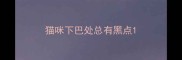 猫咪下巴处总有黑点