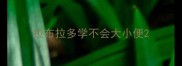 拉布拉多学不会大小便