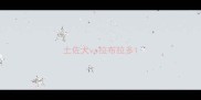 土佐犬vs拉布拉多