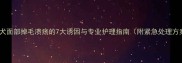 金毛犬面部掉毛溃疡的7大诱因与专业护理指南附紧急处理方案