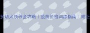 广西拉布拉多幼犬领养全攻略疫苗价格训练指南附正规犬舍推荐