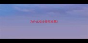 为什么哈士奇毛发黄