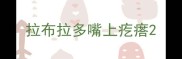 拉布拉多嘴上疙瘩