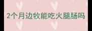 2个月边牧能吃火腿肠吗