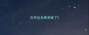 拉布拉多鼻梁破了