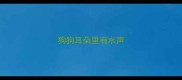 狗狗耳朵里有水声