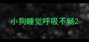 小狗睡觉呼吸不畅