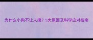 为什么小狗不让人摸5大原因及科学应对指南