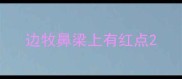 边牧鼻梁上有红点