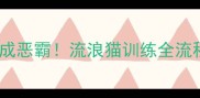 6个月小奶狗逆袭成恶霸流浪猫训练全流程附真实案例