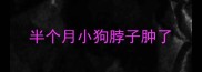 半个月小狗脖子肿了