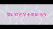 梦幻棕色哈士奇是纯的