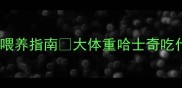 巨型哈士奇科学喂养指南大体重哈士奇吃什么怎么喂全攻略