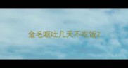 金毛呕吐几天不吃饭
