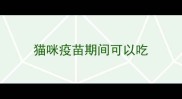 猫咪疫苗期间可以吃