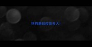 狗狗基础疫苗多大